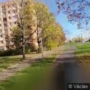 obrazek: avatar ZAHRADNÍKOVÁ JAROSLAVA