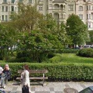 obrazek: avatar INGREDIENTS s.r.o.