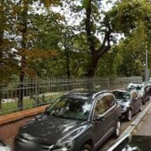 obrazek: avatar BEAUTY QUEENS