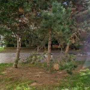 obrazek: avatar ANNABELLE DEA, s.r.o.