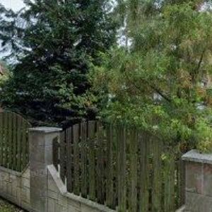 obrazek: avatar ŽENŠEN s.r.o.