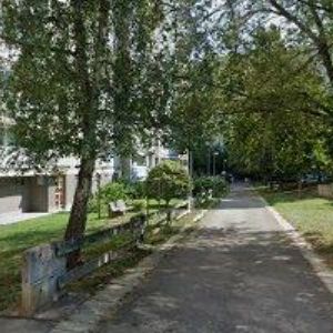 obrazek: avatar RENDLOVÁ IVA Ing.