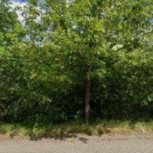 obrazek: avatar SARTIM PHARMA v.o.s.