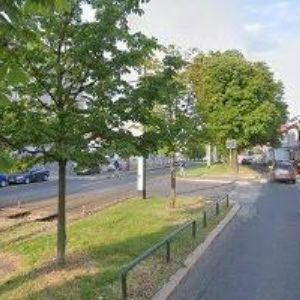 obrazek: avatar KRAMLOVÁ RŮŽENA