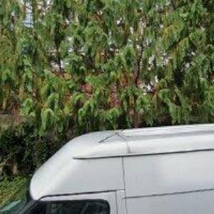 obrazek: avatar ZSE PRAHA s.r.o.