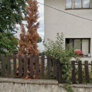 obrazek: avatar KOŠTEL MIROSLAV-COINCO SPORT