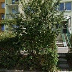 obrazek: avatar MM TECHNIKA