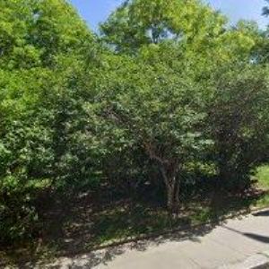 obrazek: avatar AP FOTO.CZ