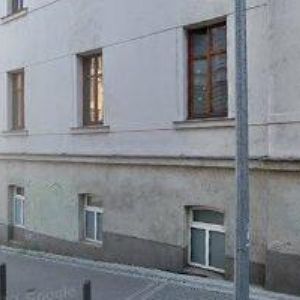 obrazek: avatar AJAX-CHOVATEL.CZ