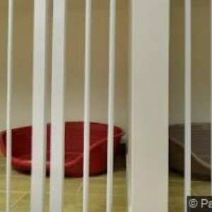 obrazek: avatar AQUARIMEX s.r.o.