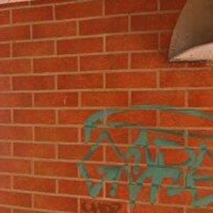 obrazek: avatar YORKIES BUTIQUE