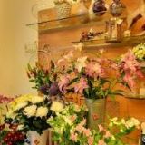 DANCE AND JUMP, spol. s r.o.