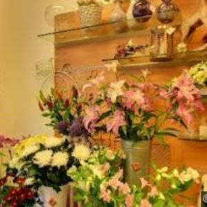 obrazek: avatar DANCE AND JUMP, spol. s r.o.