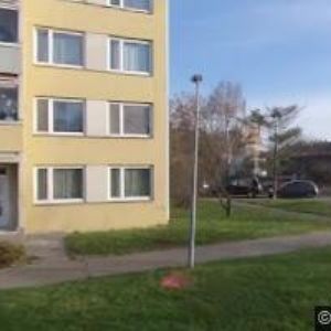 obrazek: avatar STŘÍHÁNÍ PSŮ.CZ