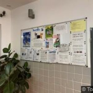 obrazek: avatar TAGISKY