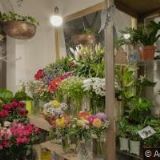 ZOO MIX PRAHA s.r.o.