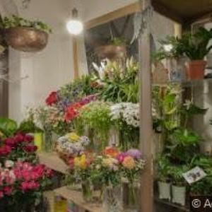 obrazek: avatar ZOO MIX PRAHA s.r.o.