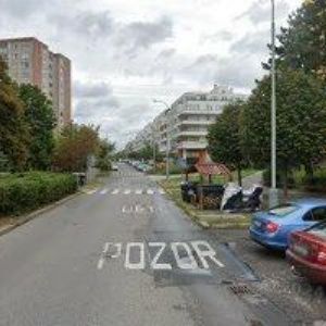 obrazek: avatar BRABCOVÁ RADKA