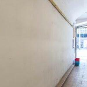 obrazek: avatar ZOO VE DVOŘE s.r.o.