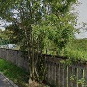 obrazek: avatar VIVARIA