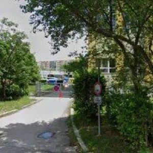 obrazek: avatar RYBY A RYBIČKY