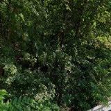 HOBBYCENTRUM RADOTÍN s.r.o.