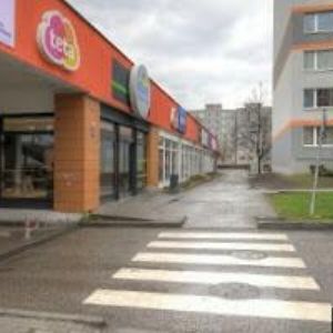 obrazek: avatar BOTANICA