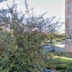 obrazek: avatar JANDÁK JAN