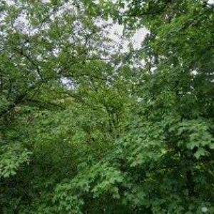 obrazek: avatar COMPA, spol. s r.o.