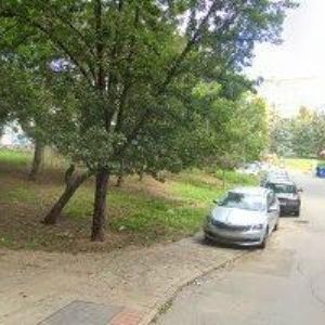 obrazek: avatar PAPÍRNICTVÍ CREATIVE