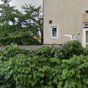 obrazek: avatar HEINZ PETR