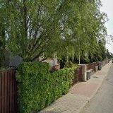 AB PARTY TENT, spol. s r.o.