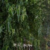 ESCHENBACH OPTIK, spol. s r.o.