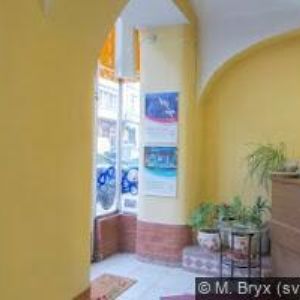 obrazek: avatar VISUS EVA OPTIK