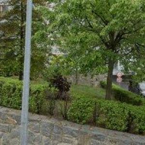 obrazek: avatar NĚMČANSKÝ MICHAL