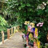 BOTANICKÁ ZAHRADA HL. M. PRAHY