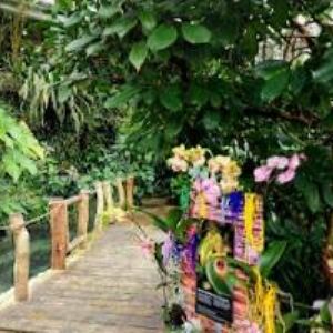 obrazek: avatar BOTANICKÁ ZAHRADA HL. M. PRAHY