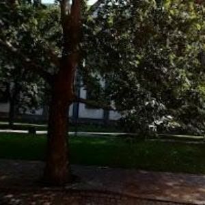 obrazek: avatar DHARMASALA s.r.o.