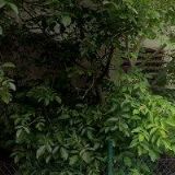 MŮJOBCHOD-POTRAVINY U RYCHTY