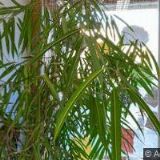 SPECIÁLKA NA KOŘENÍ