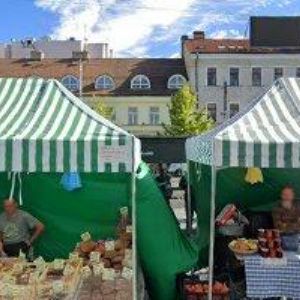 obrazek: avatar VENKOVSKÁ VEJCE s.r.o.