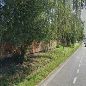 obrazek: avatar BLANDINI CAFFE