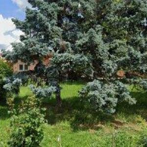 obrazek: avatar KOUBEK JIŘÍ