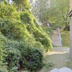 obrazek: avatar P.S.MASO s.r.o.