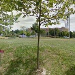 obrazek: avatar WALMARK, a.s.