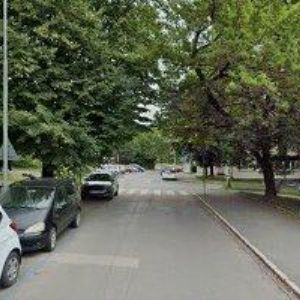 obrazek: avatar STEGLER AUTHENTIC s.r.o.