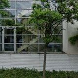 BOTTLES & LABELS s.r.o.