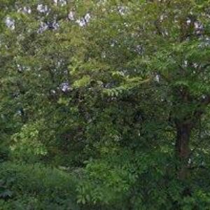 obrazek: avatar RED BULL ČESKÁ REPUBLIKA, s.r.o.