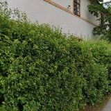 ALEX COSMETICS CZ s.r.o.