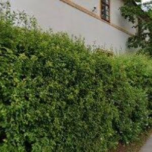 obrazek: avatar ALEX COSMETICS CZ s.r.o.